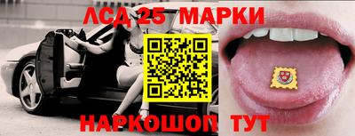 стафф Славгород
